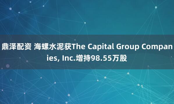 鼎泽配资 海螺水泥获The Capital Group Companies, Inc.增持98.55万股