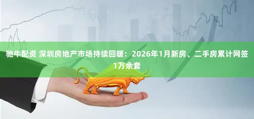 驰牛配资 深圳房地产市场持续回暖：2026年1月新房、二手房累计网签1万余套